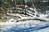 europe_online_tv_fine_art_photography_central_park_nyc_f73_13_photography_art