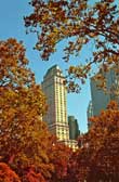 europe_online_tv_fine_art_photography_nyc_f79_12_photography_art